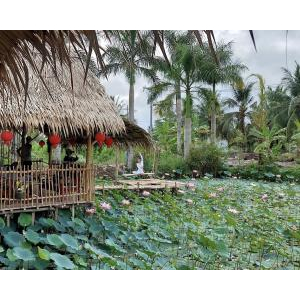 Rừng Nam Farm
