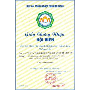 Du Học Quốc Tế Việt Chí