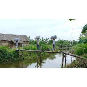 Rừng Nam Farm