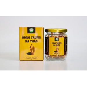 Mua trà đông trùng hạ thảo khô ở đâu thì chất lượng?