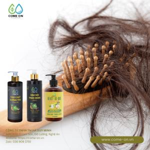 Công Ty CP Tập Đoàn Hà Duy Minh