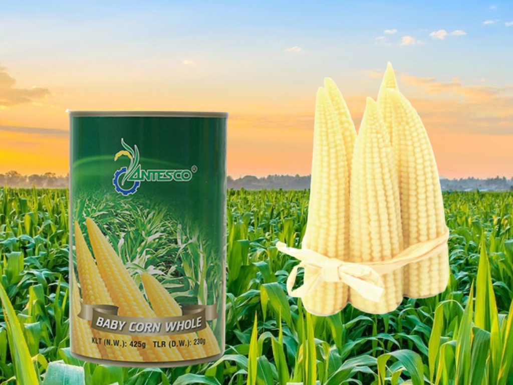 Product Introduction