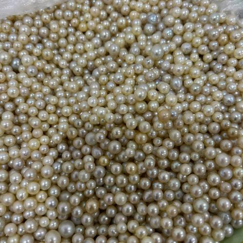 Ngọc Trai Nước Mặn Akoya (Thô) (Size 2mm - 10mm)