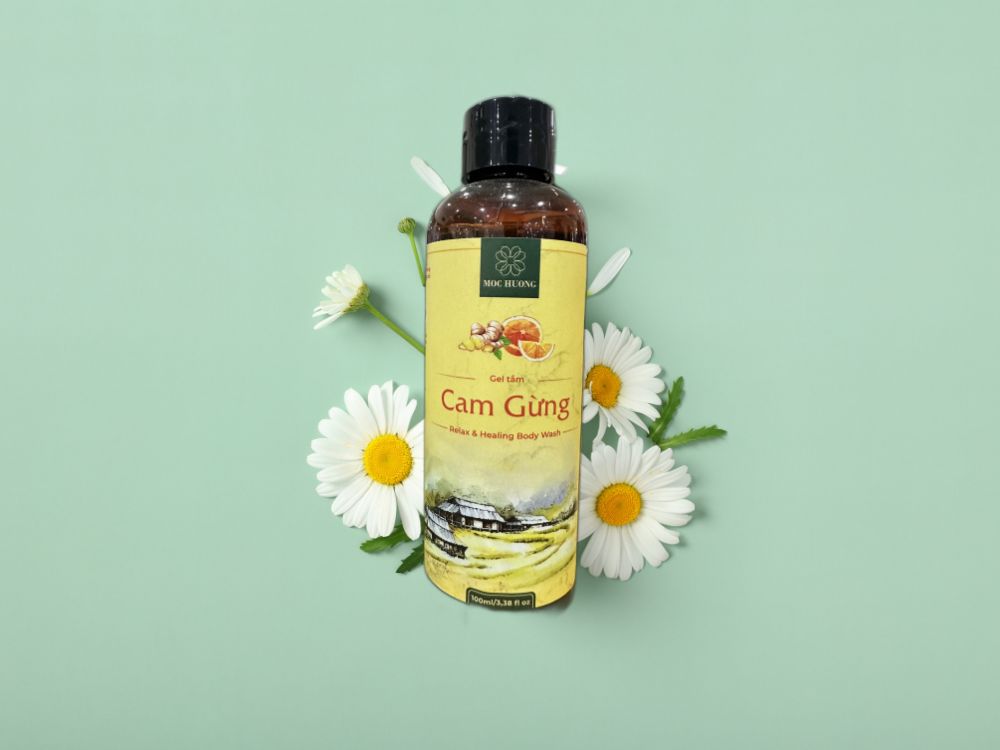 Hướng dẫn sử dụng