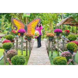 Cảnh Đẹp Decor Nghệ Thuật