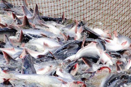 Sản phẩm của chúng tôi
