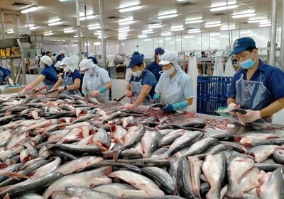 Sơ lược về chúng tôi
