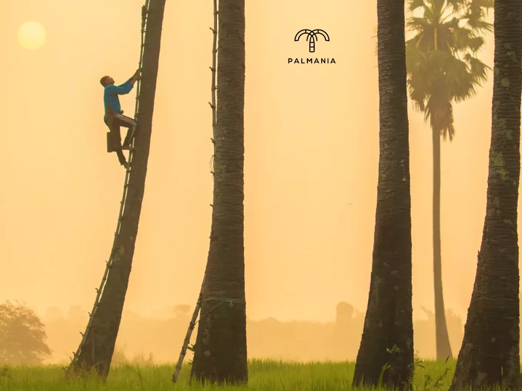 Chúng tôi làm như thế nào?