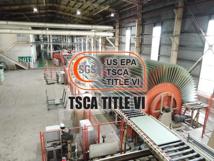 TSCA Title VI (Toxic Substances Control Act)