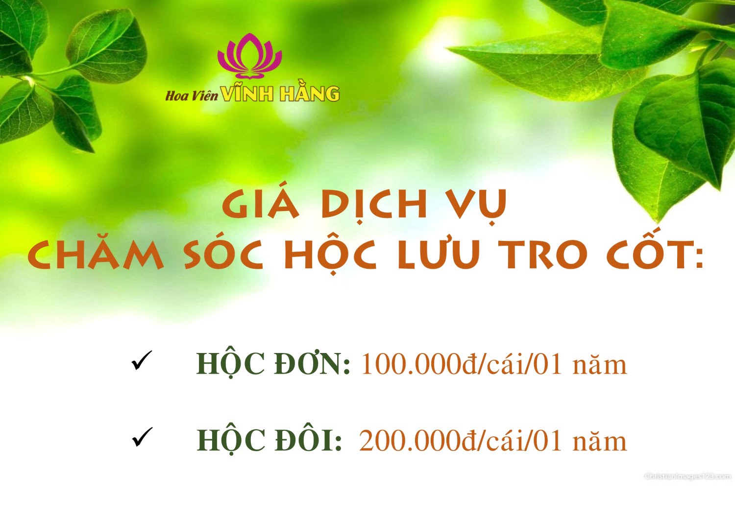 Giá chăm sóc hộc lưu năm 2022