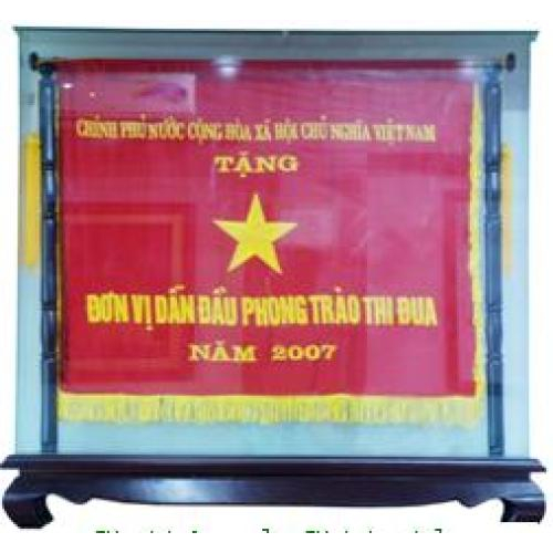 Thành tích công ty đạt được qua các năm từ 2000 - 2009