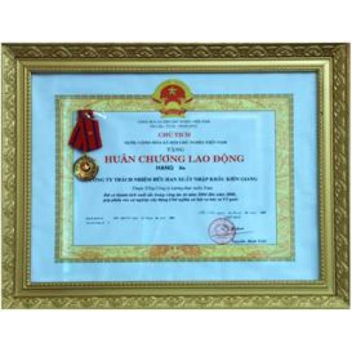 Thành tích công ty đạt được qua các năm từ 2000 - 2009