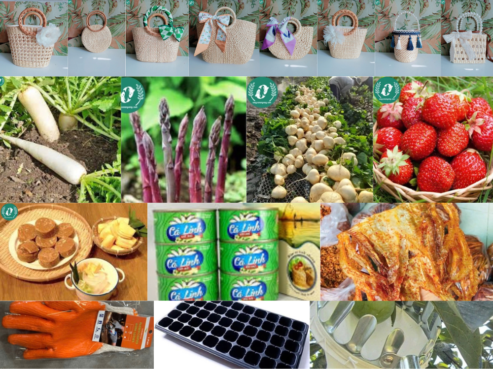 Sản phẩm chính