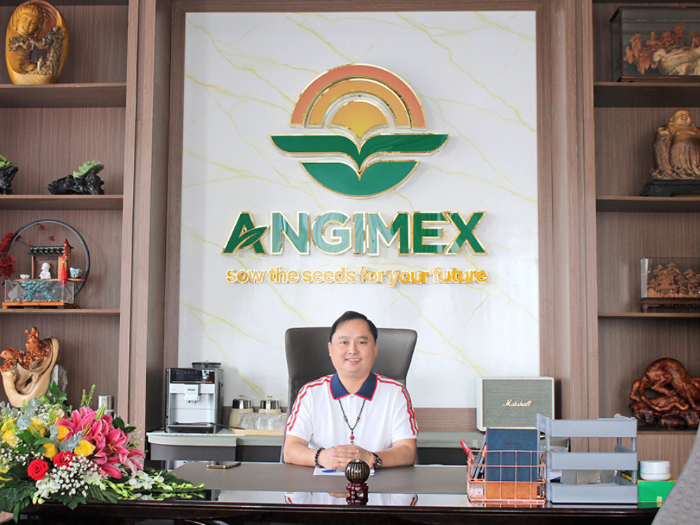 Angimex