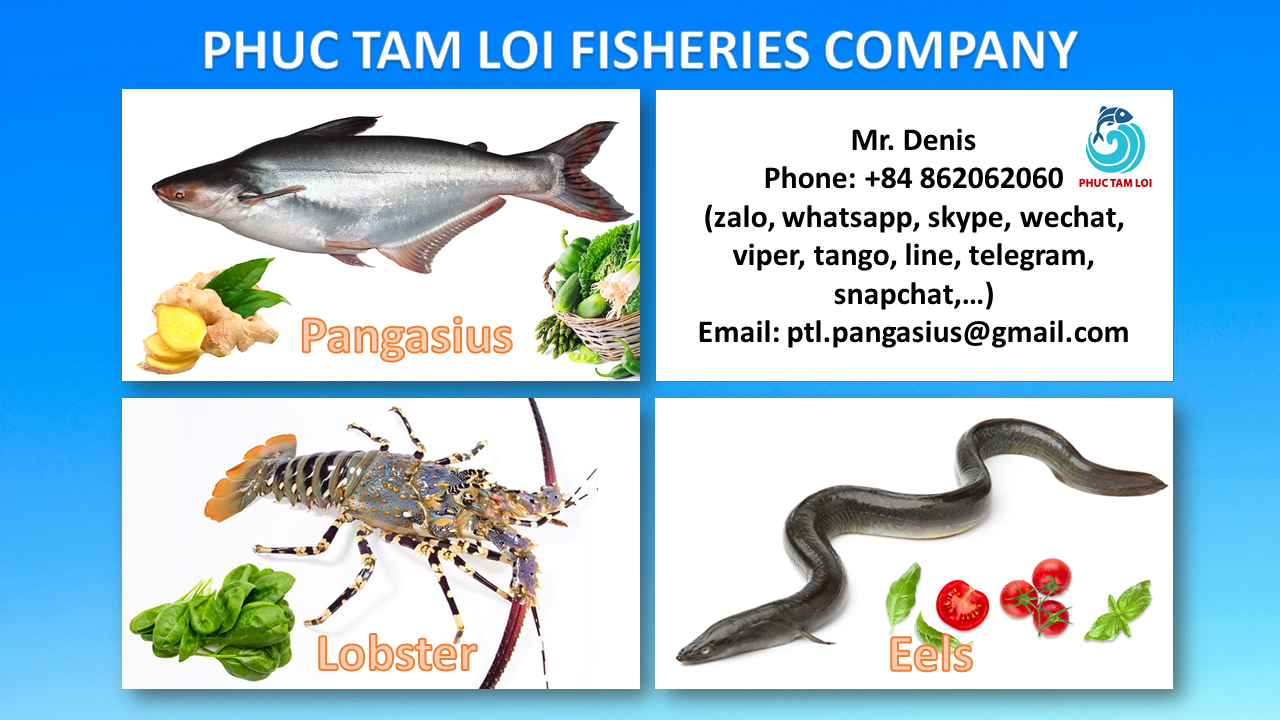 Sản Phẩm - Phúc Tâm Lợi