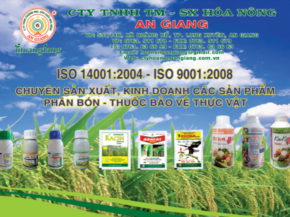 I. Lịch sử hình thành và phát triển công ty