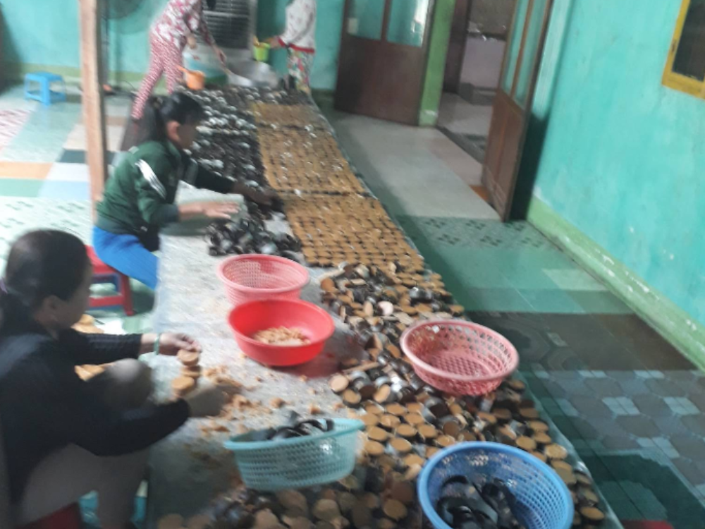 Giới thiệu