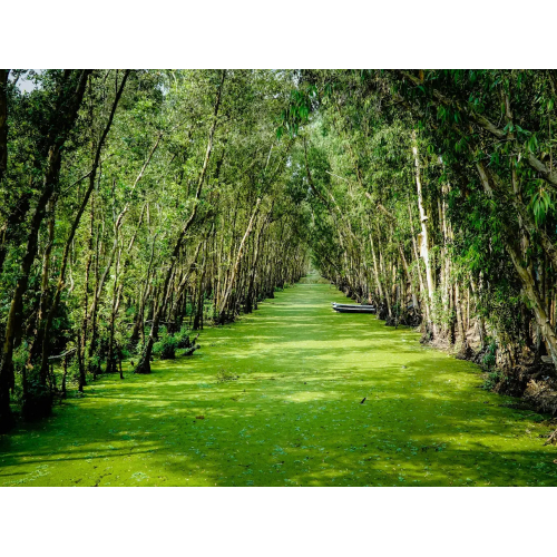Chương trình du lịch nội tỉnh An Giang 2020 - AGNN 05