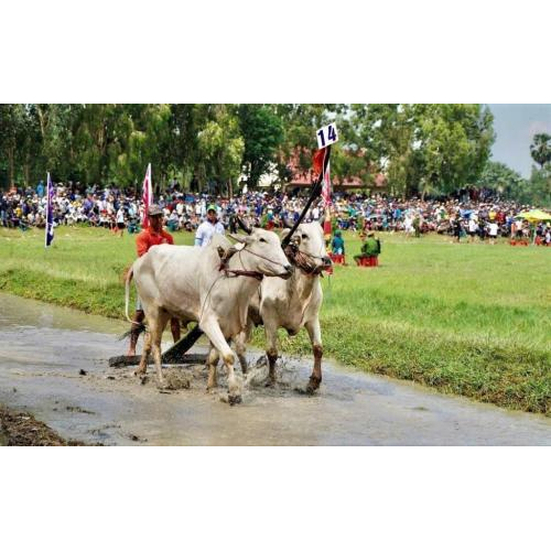 An Giang Hợp Nhất Kiên Giang - Cực Tăng Trưởng Mới Cho Đồng Bằng Sông Cửu Long