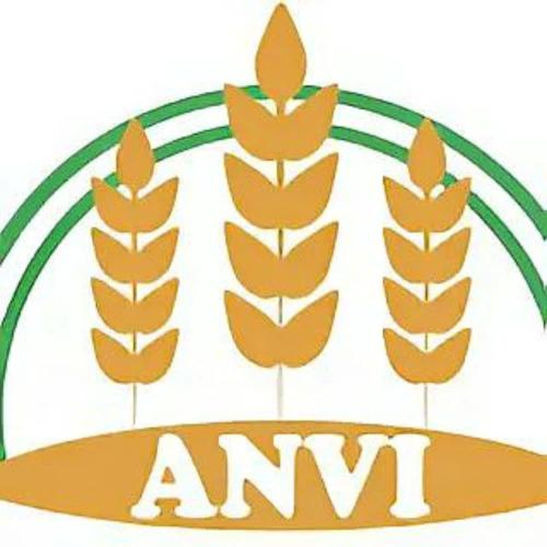 Công Ty CP Xuất Nhập Khẩu An Vi