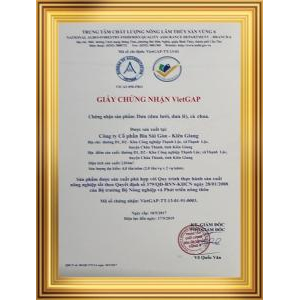 Công Ty Cổ Phần Bia Sài Gòn – An Giang