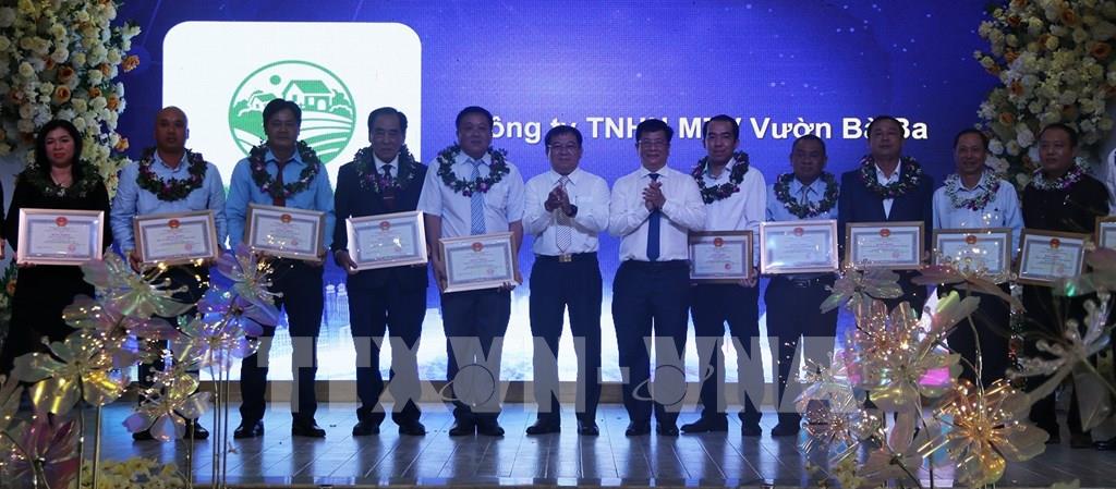 Lãnh đạo tỉnh An Giang trao tặng Bằng khen cho các tập thể và cá nhân có thành tích trong hoạt động sản xuất kinh doanh. Ảnh: Lê Huy Hải - TTXVN