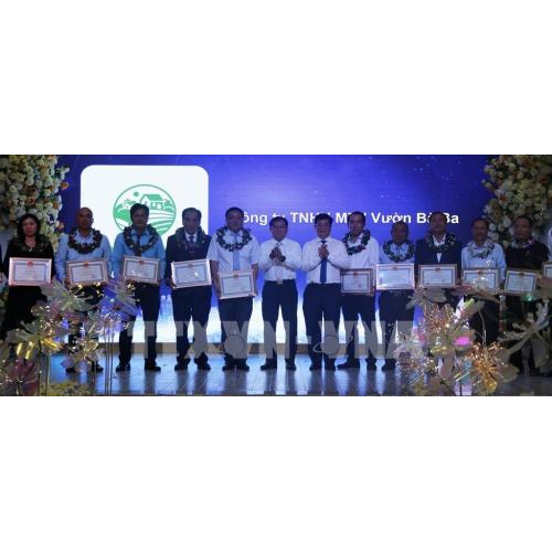 Doanh nghiệp An Giang vững bước kinh tế